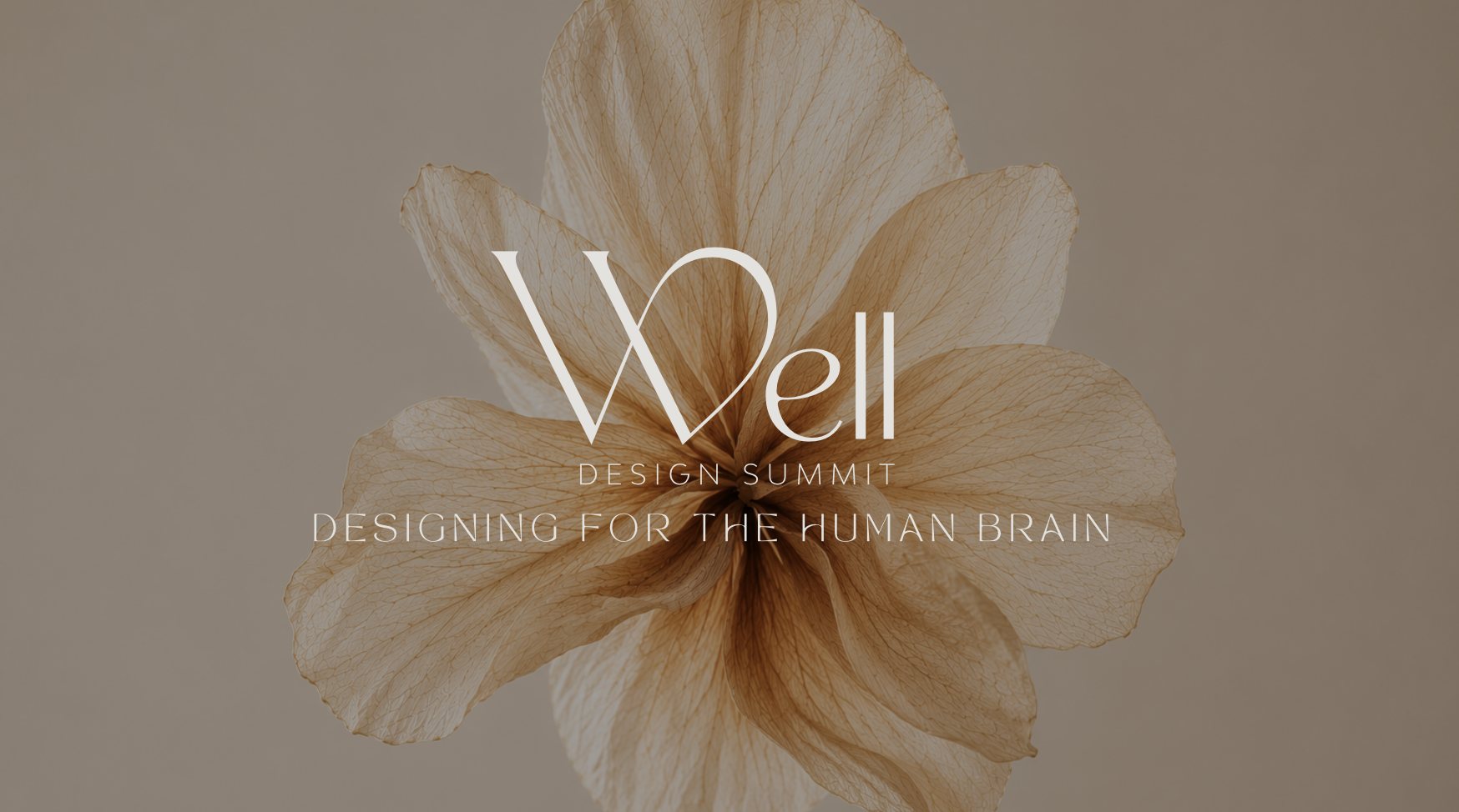 Well Design Summit, Designing for the Human Brain: logo over a dried translucent flower